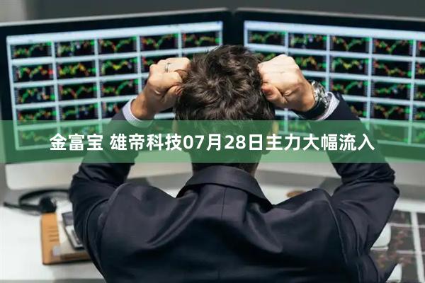 金富宝 雄帝科技07月28日主力大幅流入