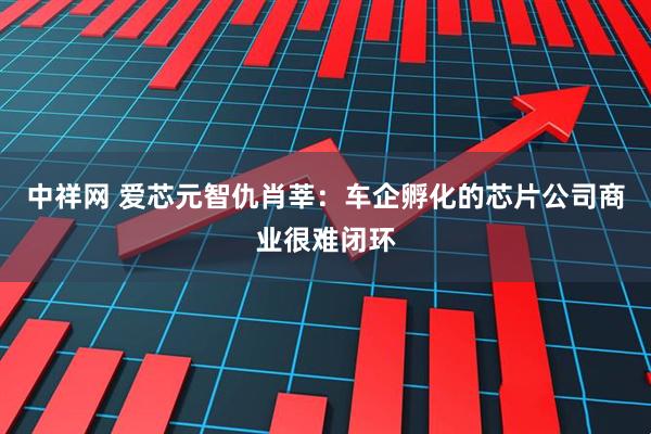 中祥网 爱芯元智仇肖莘：车企孵化的芯片公司商业很难闭环