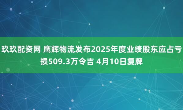 玖玖配资网 鹰辉物流发布2025年度业绩股东应占亏损509.3万令吉 4月10日复牌