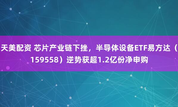 天美配资 芯片产业链下挫，半导体设备ETF易方达（159558）逆势获超1.2亿份净申购